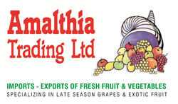 Amalthia Trading Ltd logo