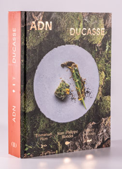 ADN Ducasse