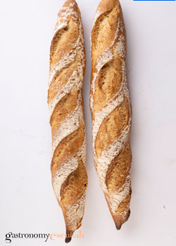 All about Baguette