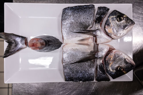 Fin to Gill. ������������ �������� �� ����