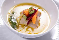 Fin to Gill. ������������ �������� �� ����