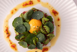 Fin to Gill. ������������ �������� �� ����