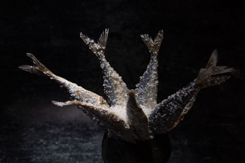 ��������� ������� ��������� & ����������