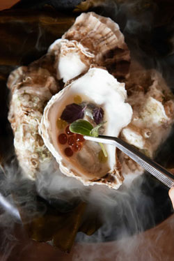 Modern Japanese Izakaya