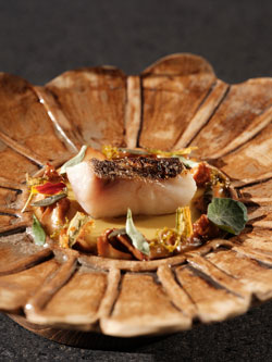 Elements of Greek Cuisine