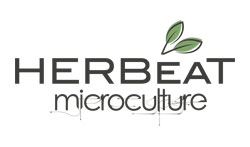 HERBEAT microculture logo