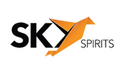 SKY SPIRITS COMPANY   logo